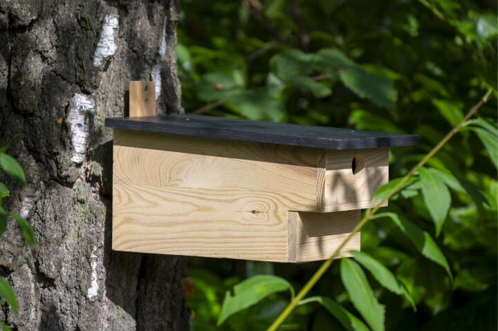 dobar Großer Höhlenbrüternistkasten mit Räuberschutz